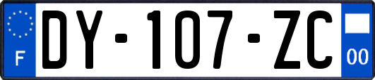 DY-107-ZC