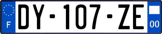 DY-107-ZE