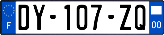 DY-107-ZQ