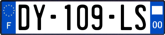 DY-109-LS