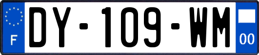 DY-109-WM