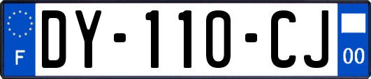 DY-110-CJ