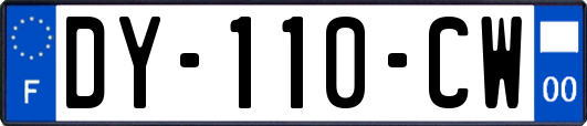 DY-110-CW