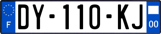 DY-110-KJ