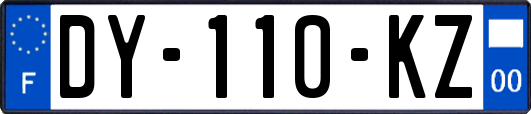 DY-110-KZ