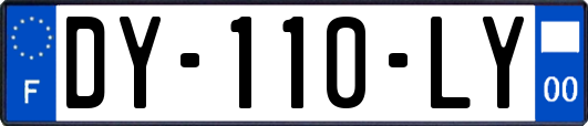 DY-110-LY