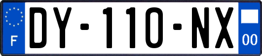 DY-110-NX