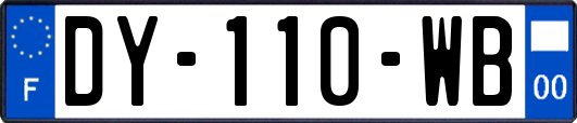 DY-110-WB