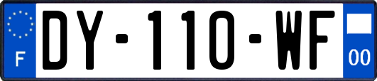 DY-110-WF