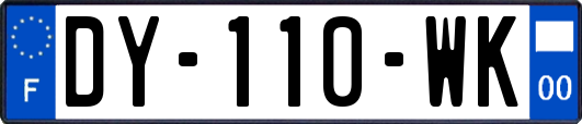 DY-110-WK