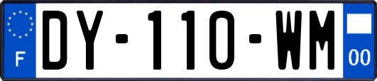 DY-110-WM