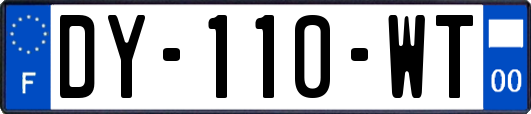 DY-110-WT