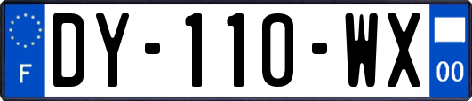 DY-110-WX