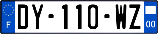 DY-110-WZ