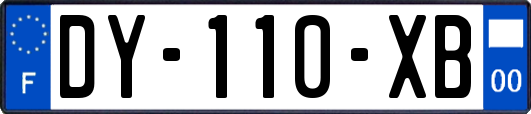 DY-110-XB