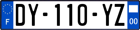 DY-110-YZ