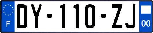 DY-110-ZJ