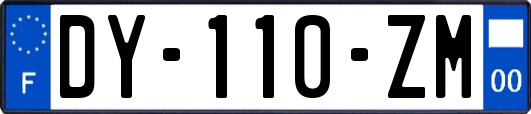 DY-110-ZM