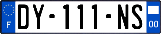 DY-111-NS