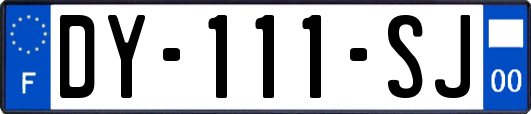 DY-111-SJ