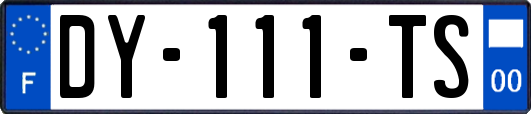 DY-111-TS