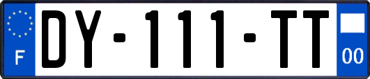 DY-111-TT