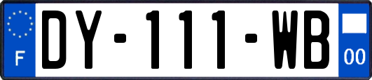 DY-111-WB