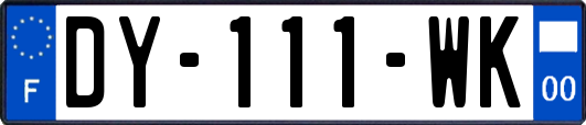 DY-111-WK