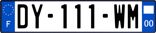 DY-111-WM