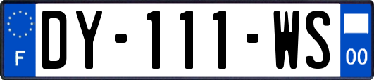 DY-111-WS