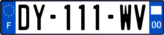 DY-111-WV