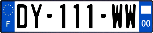 DY-111-WW