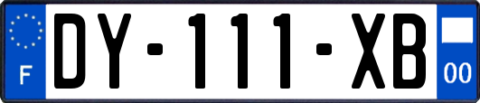 DY-111-XB