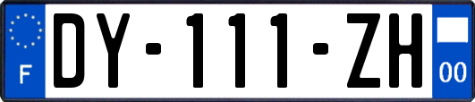 DY-111-ZH