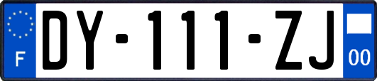 DY-111-ZJ