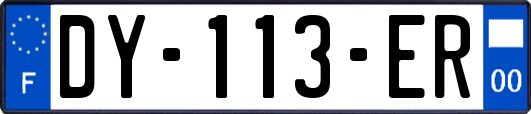 DY-113-ER