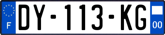 DY-113-KG