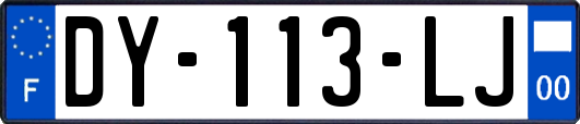 DY-113-LJ