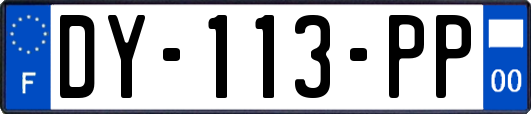 DY-113-PP