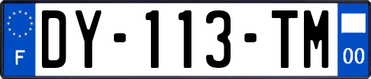 DY-113-TM