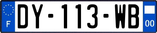 DY-113-WB