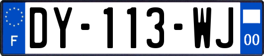 DY-113-WJ