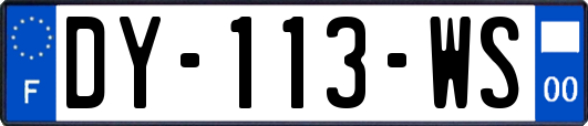 DY-113-WS