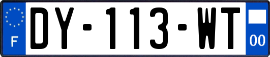 DY-113-WT