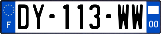 DY-113-WW