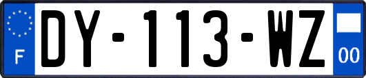 DY-113-WZ