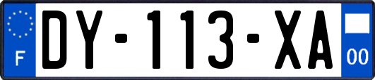 DY-113-XA