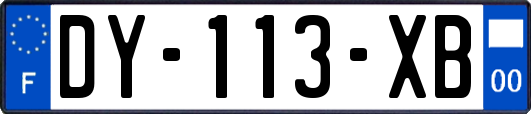 DY-113-XB