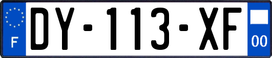 DY-113-XF