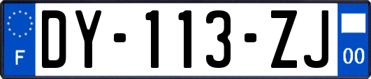 DY-113-ZJ